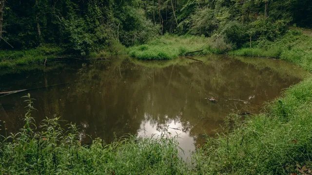 an aerial view of residential house with outdoor space and trees all around