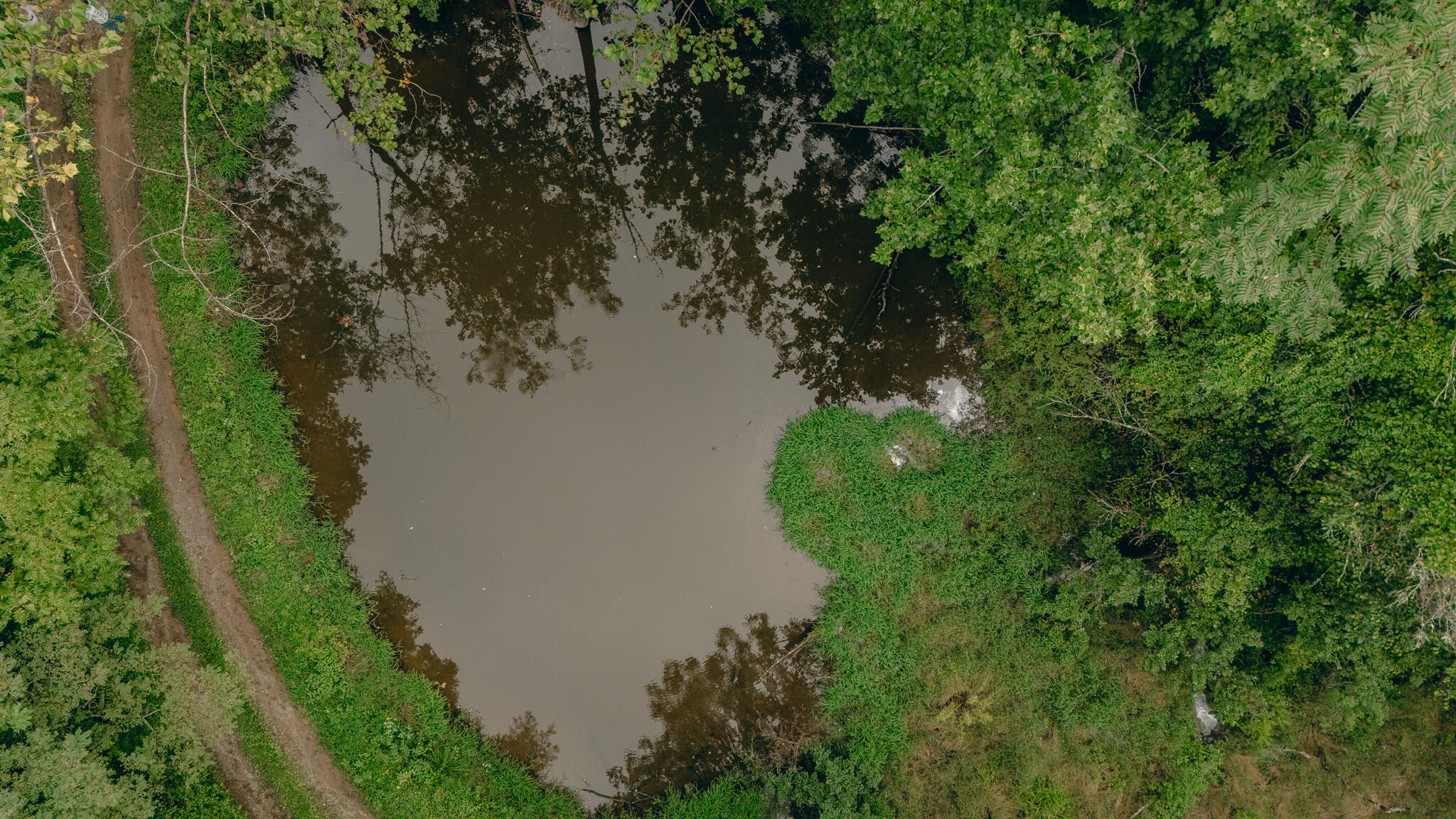8780 Sugar Run Road Northeast Copper Hill, VA 24079 - Photo 18 of 25 a view of a lake with a yard