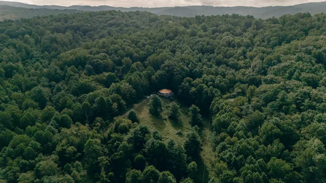 an aerial view of a forest with houses