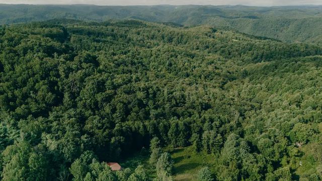 an aerial view of residential house with outdoor space and trees all around