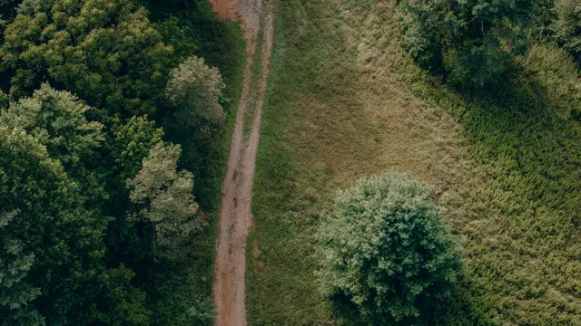 a view of backyard with a garden and stairs