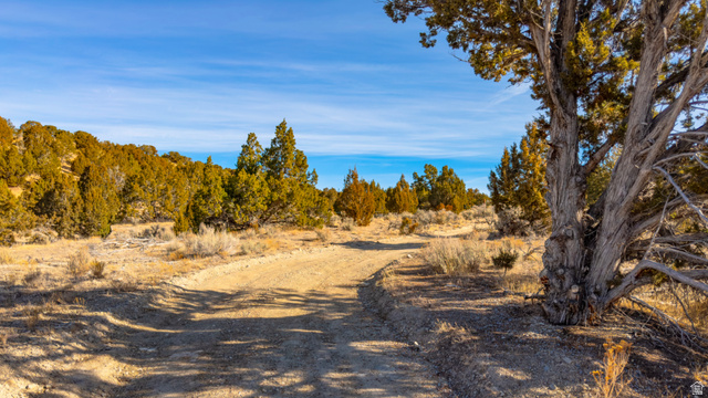 0 County Road 28 Levan, UT 84639 - Photo 59 of 207