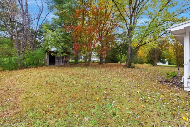 a view of a yard with a trees