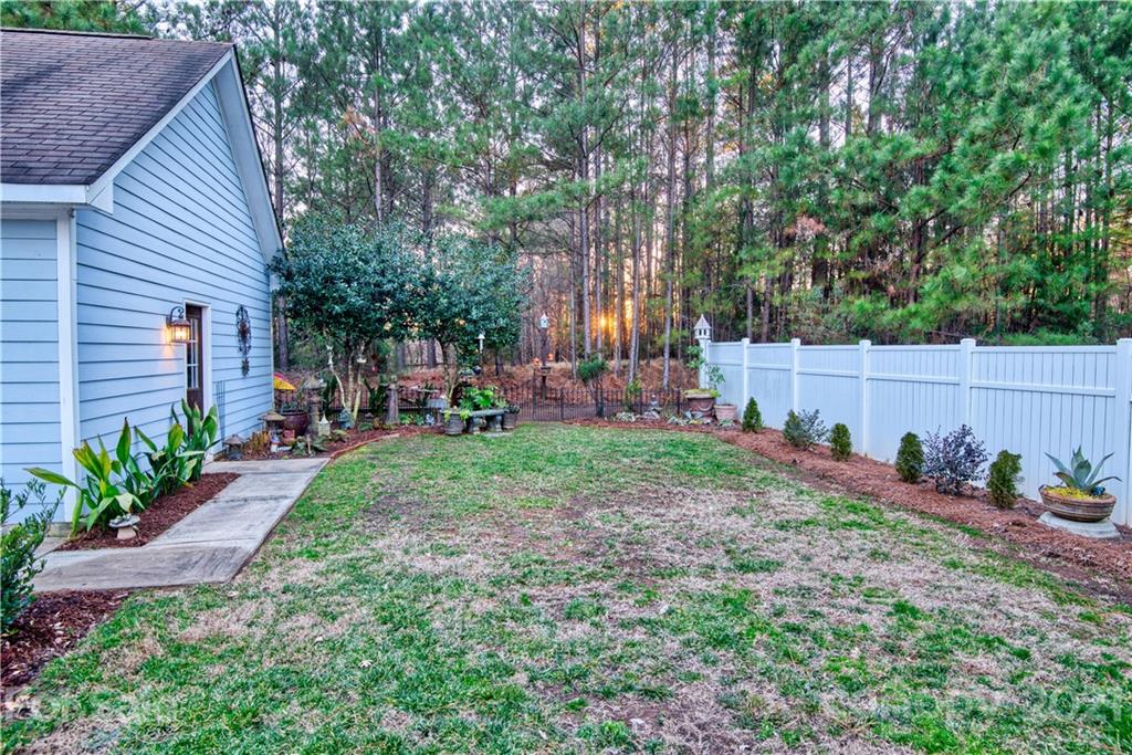 2604 Nations Commons Street Fort Mill, SC 29708 - Photo 3 of 26