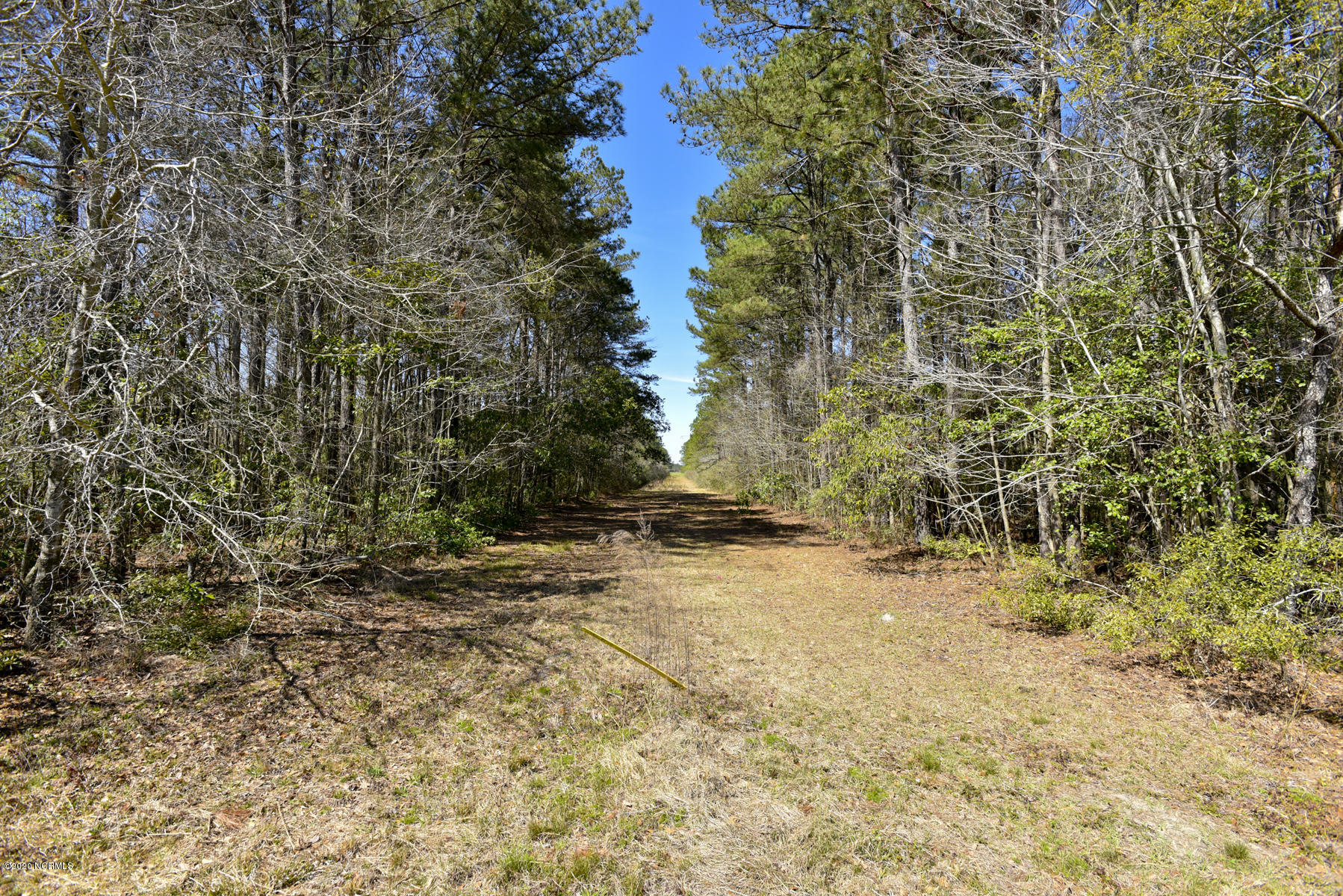 674 Five Mile Road Richlands, NC 28574 - Photo 11 of 49 023