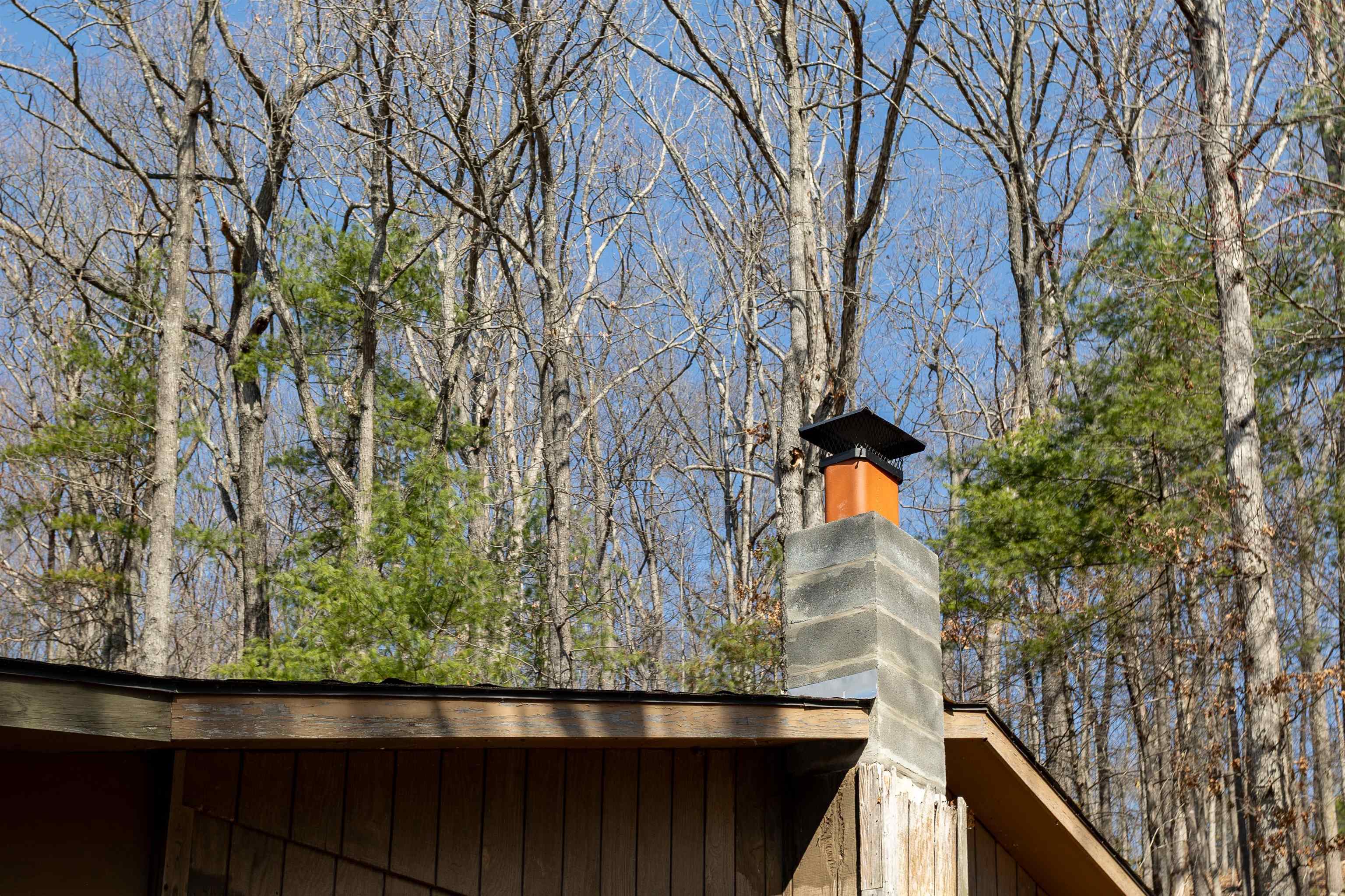 12619 Cardinal Forest Drive Fulks Run, VA 22830 - Photo 17 of 23 a view of a yard