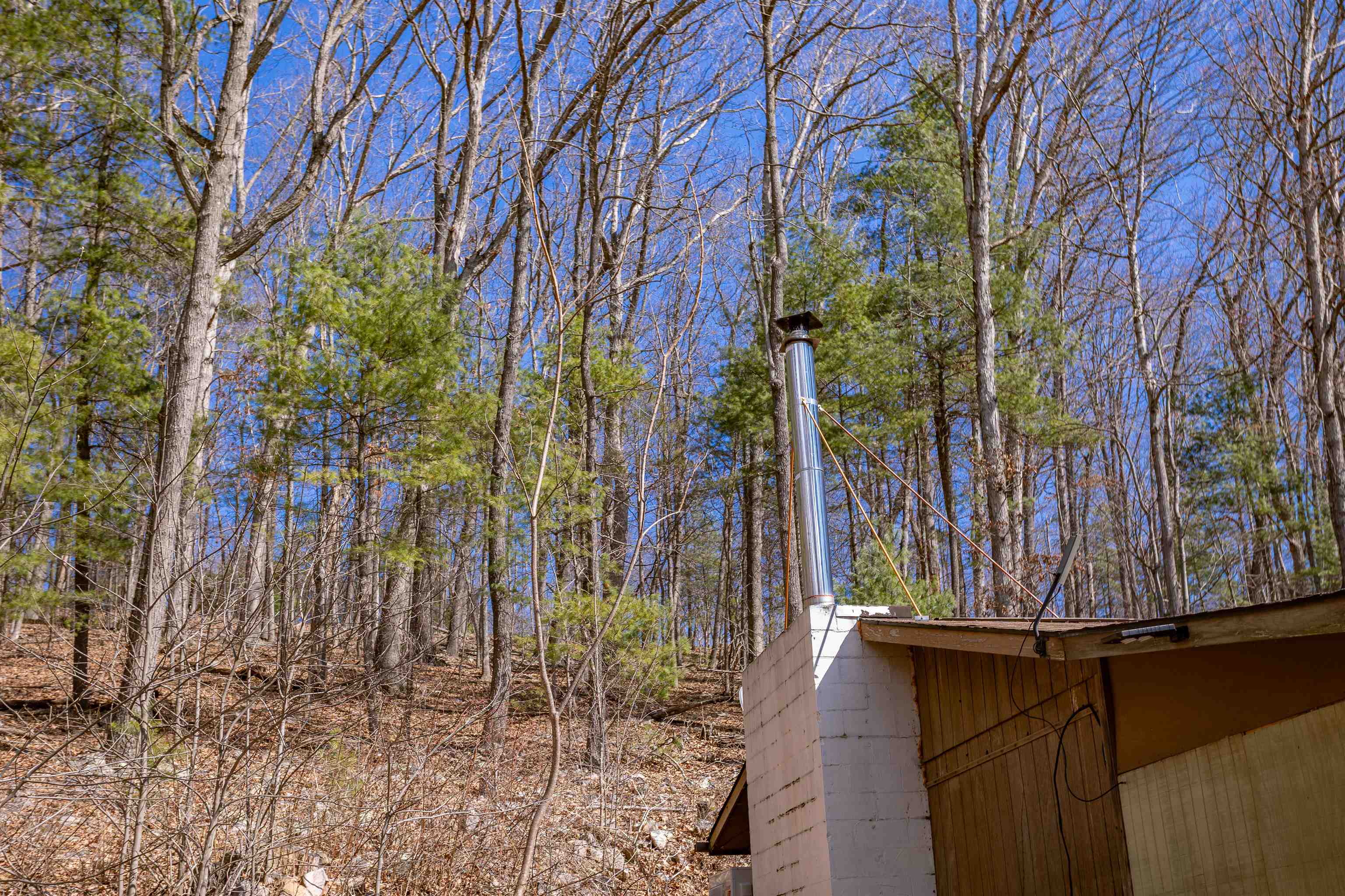 12619 Cardinal Forest Drive Fulks Run, VA 22830 - Photo 18 of 23 a view of a yard with plants and trees