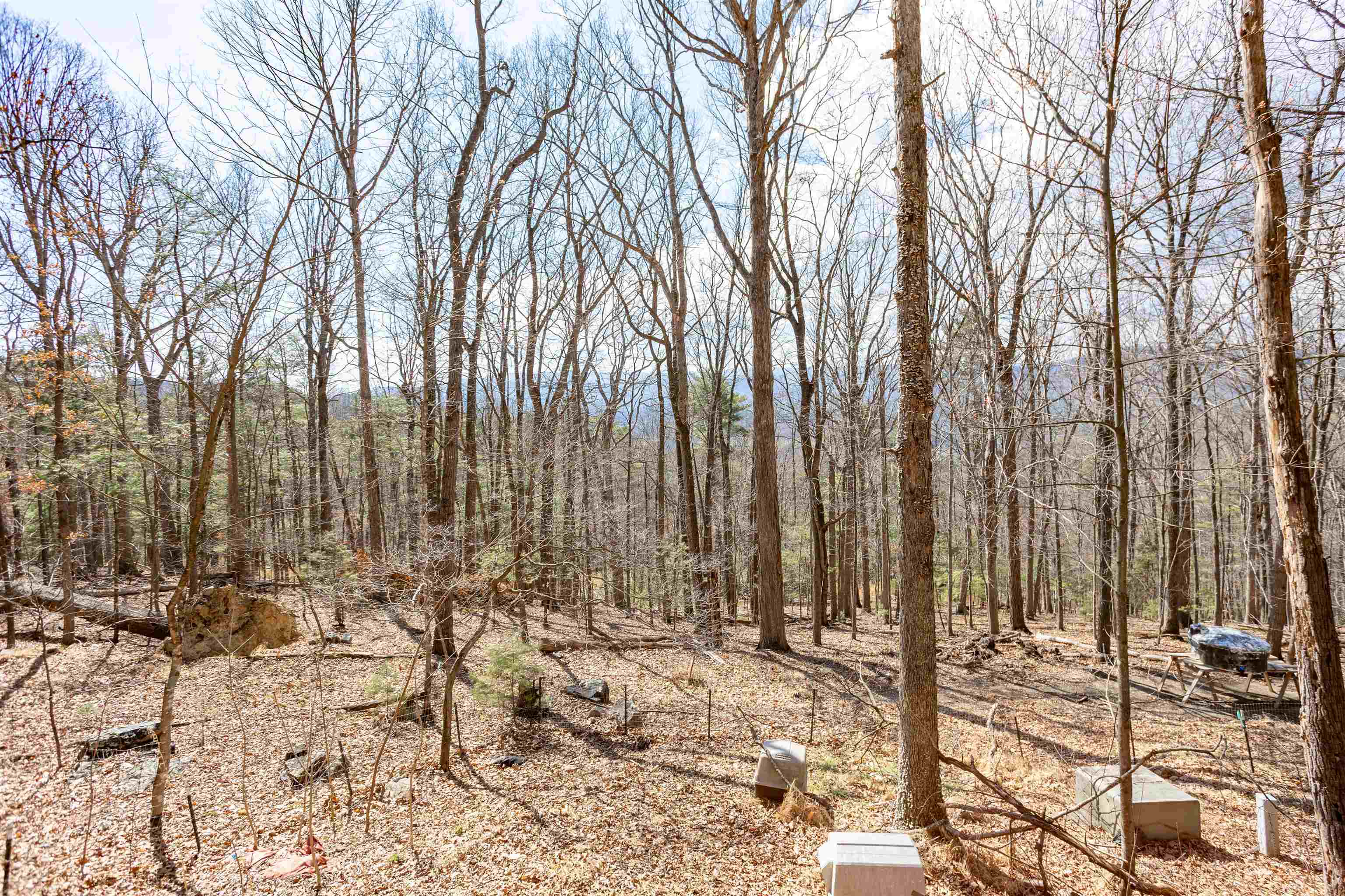 12619 Cardinal Forest Drive Fulks Run, VA 22830 - Photo 19 of 23 a view of covered with snow