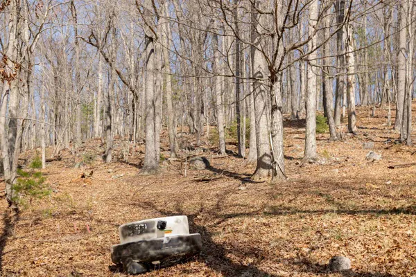 $269,900 | 12619 Cardinal Forest Drive, Fulks Run, VA 22830