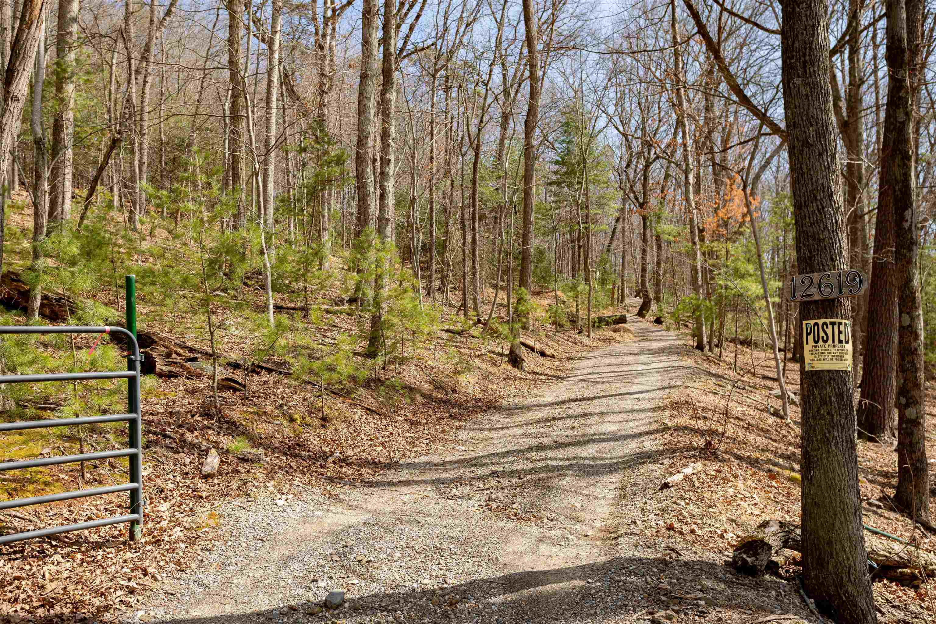 12619 Cardinal Forest Drive Fulks Run, VA 22830 - Photo 21 of 23 a view of the pathway of a house