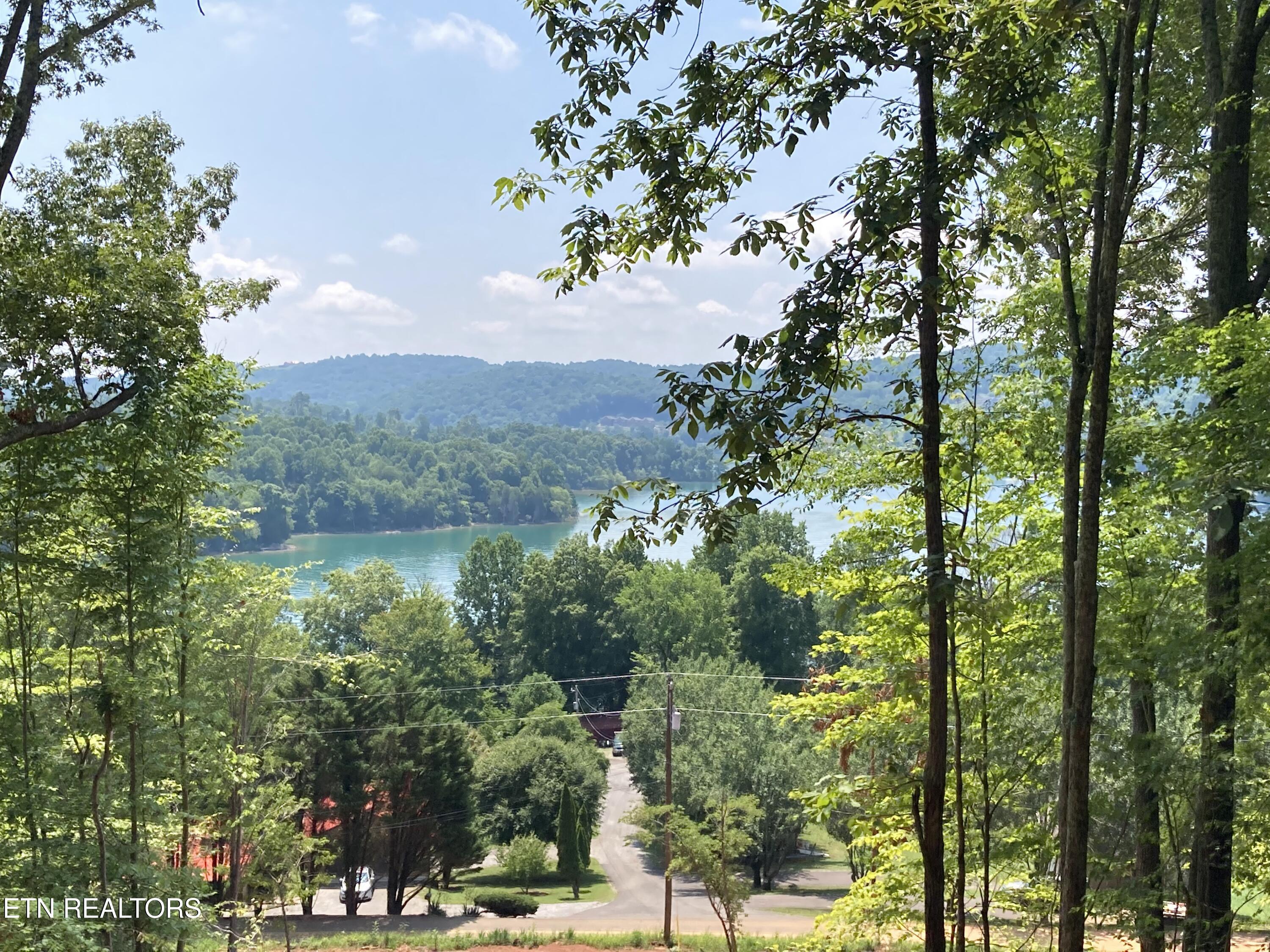 Park Lane Andersonville, TN 37705 - Photo 5 of 7 IMG_0469