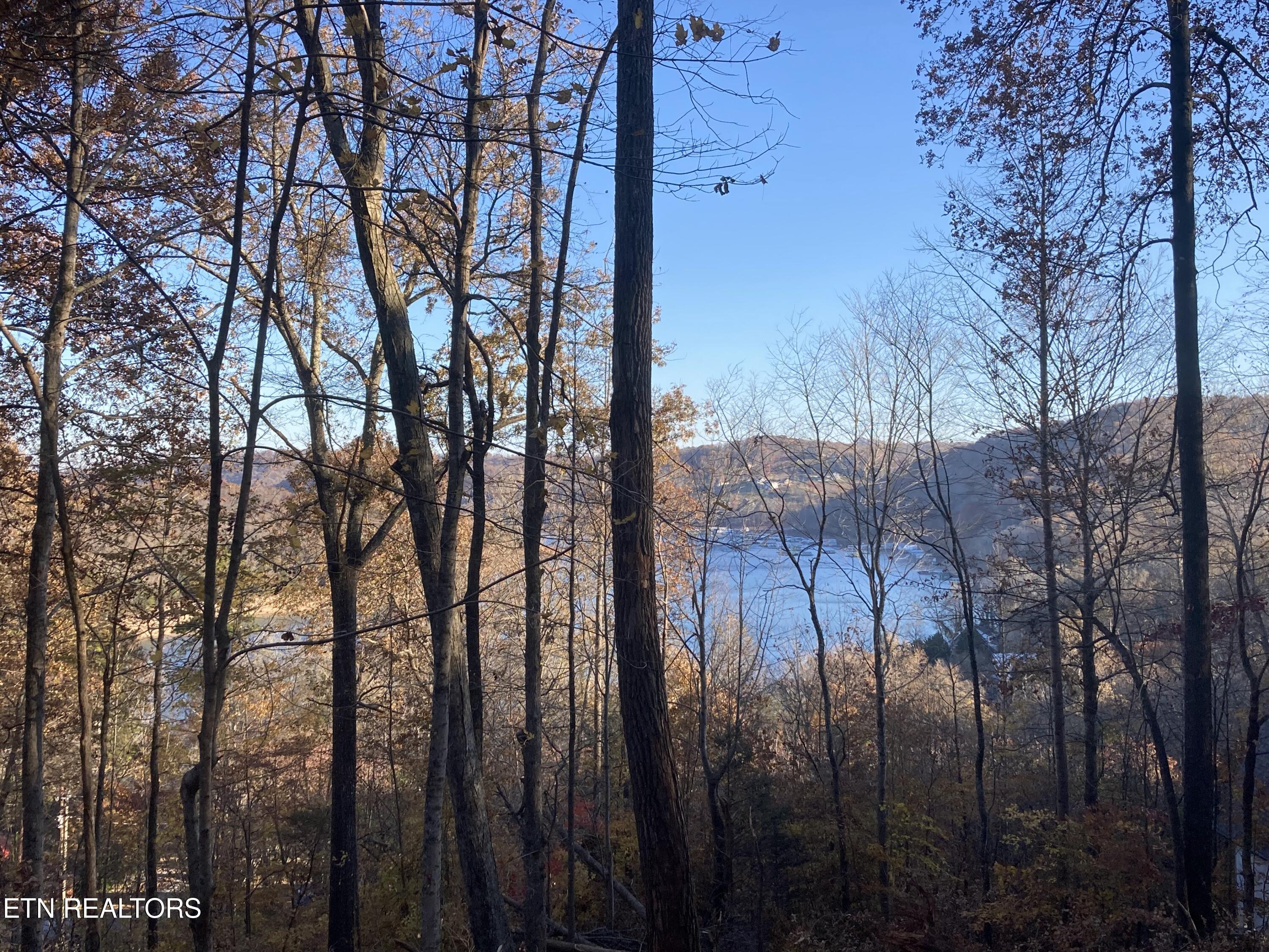 Park Lane Andersonville, TN 37705 - Photo 6 of 7 IMG_7466