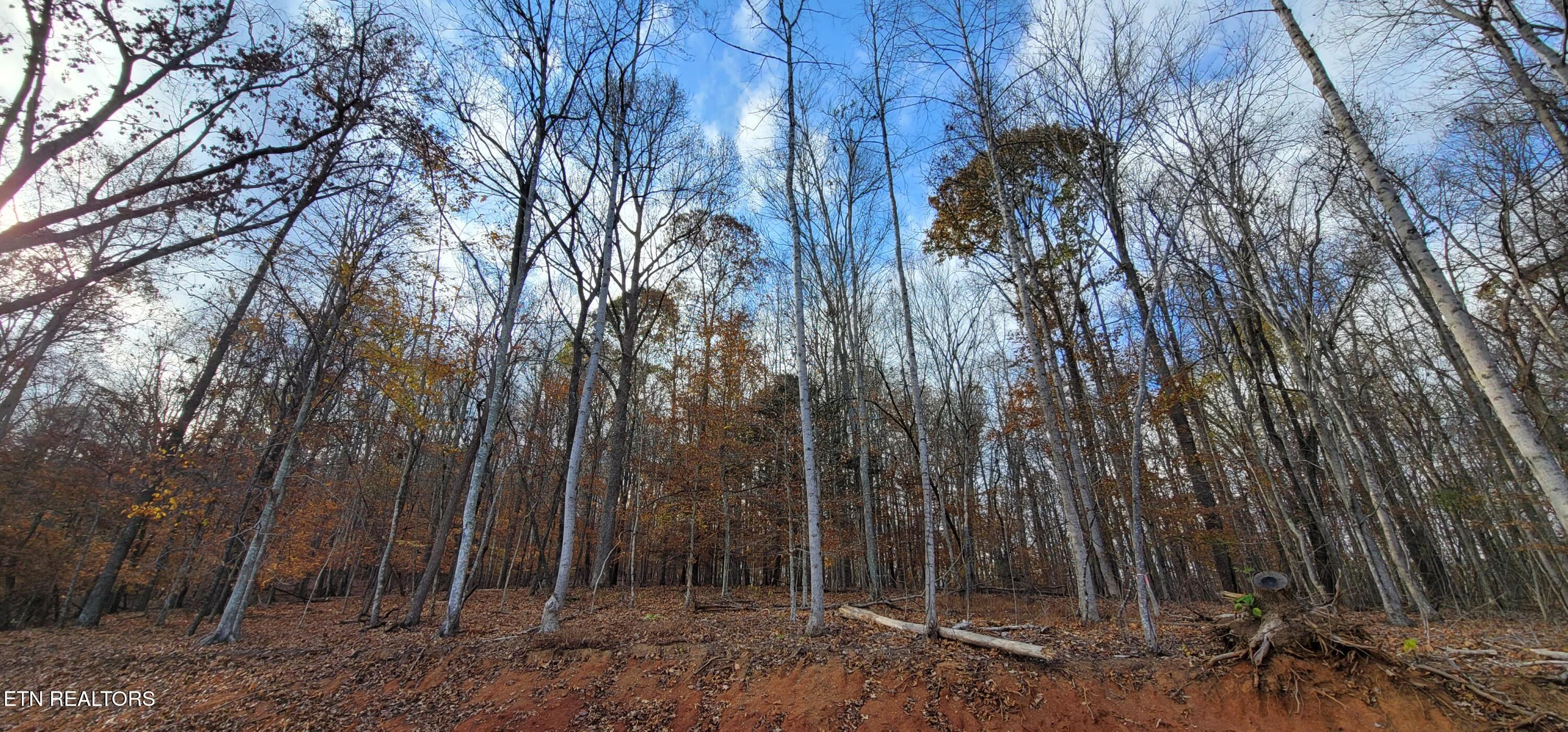 Park Lane Andersonville, TN 37705 - Photo 7 of 7 20221106_151749