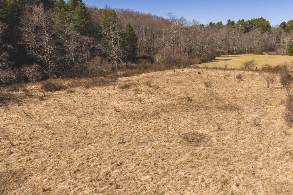 Tbd Epperly Mill Road Southwest Floyd, VA 24091 - Photo 11 of 17 Gallery Image 11