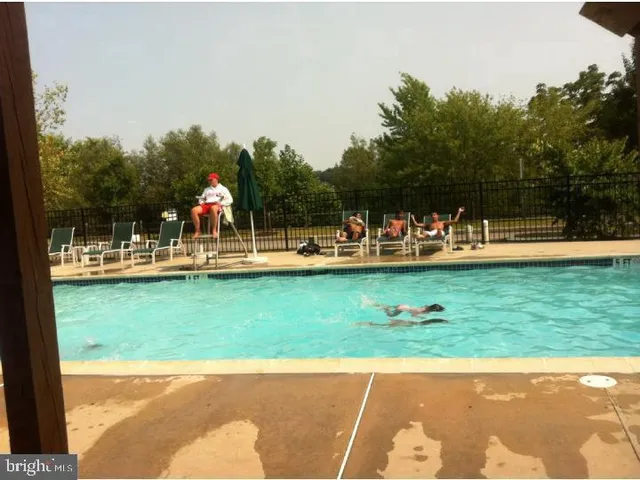 a view of a park with large trees