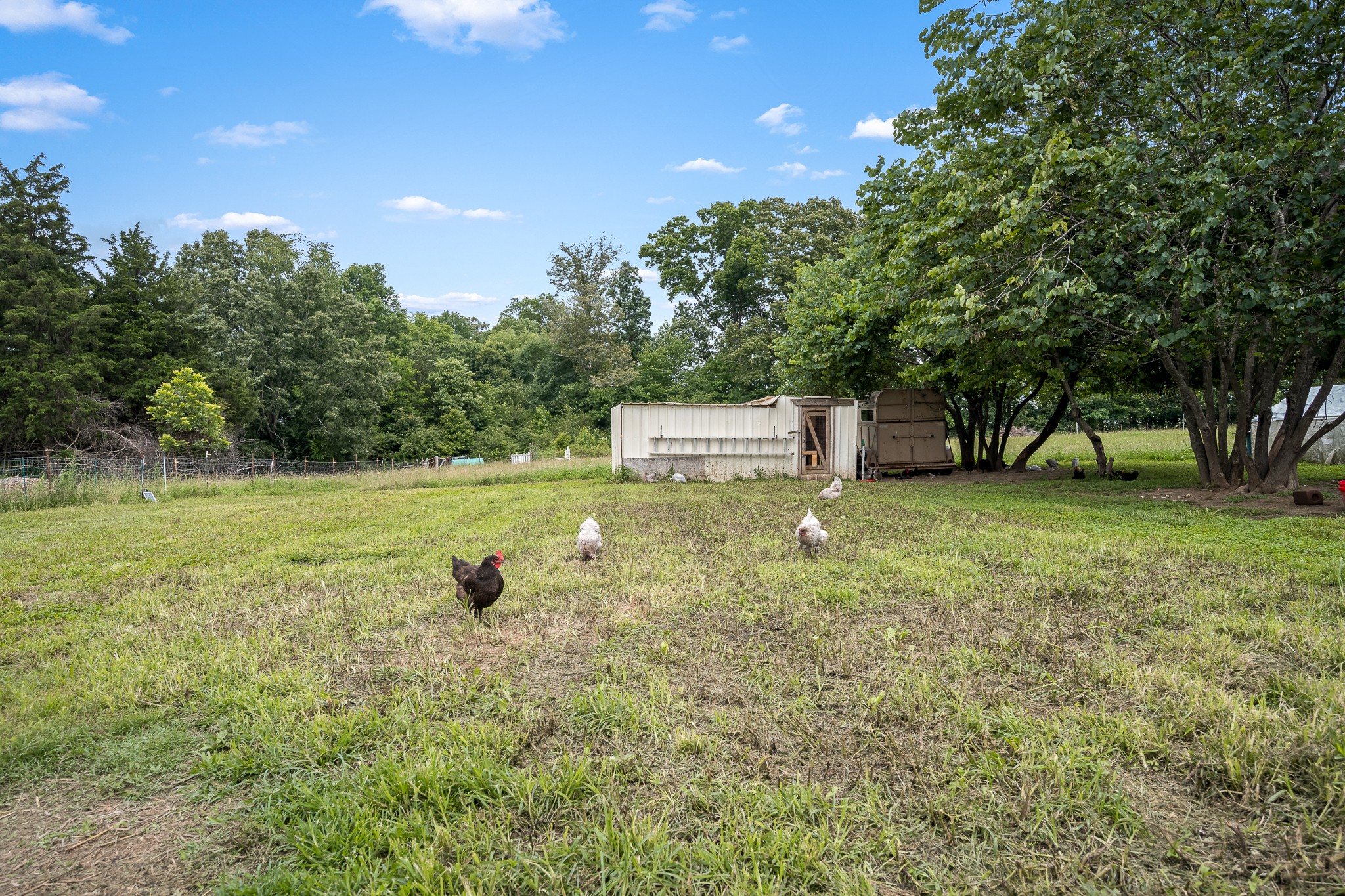 5825 Cobb Hollow Road Tullahoma, TN 37388 - Photo 65 of 72 Gallery Image 65