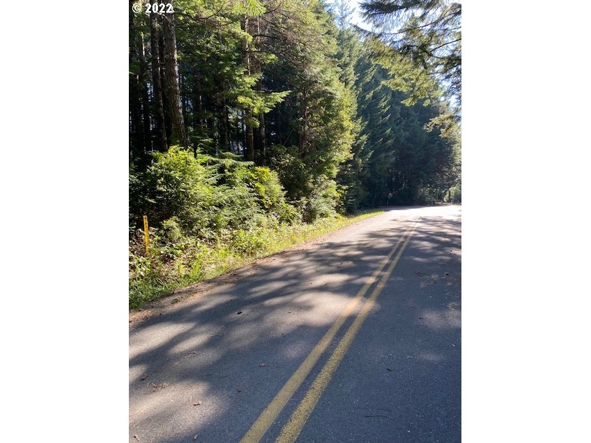 Park Road Port Orford, OR 97465 - Photo 3 of 11 a view of a yard with plants and a bench