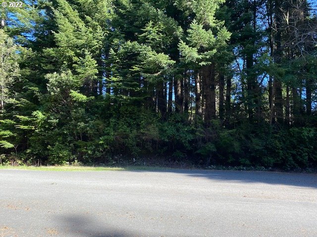 Park Road Port Orford, OR 97465 - Photo 4 of 11 an empty space with lots of trees
