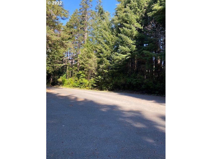 Park Road Port Orford, OR 97465 - Photo 5 of 11 a view of a yard with a plants