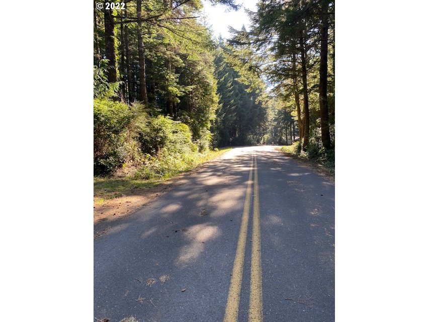 Park Road Port Orford, OR 97465 - Photo 6 of 11 a view of a yard with a tree