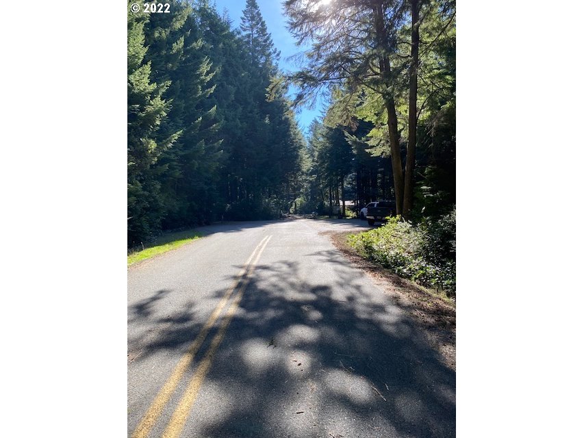 Park Road Port Orford, OR 97465 - Photo 7 of 11 a view of a backyard