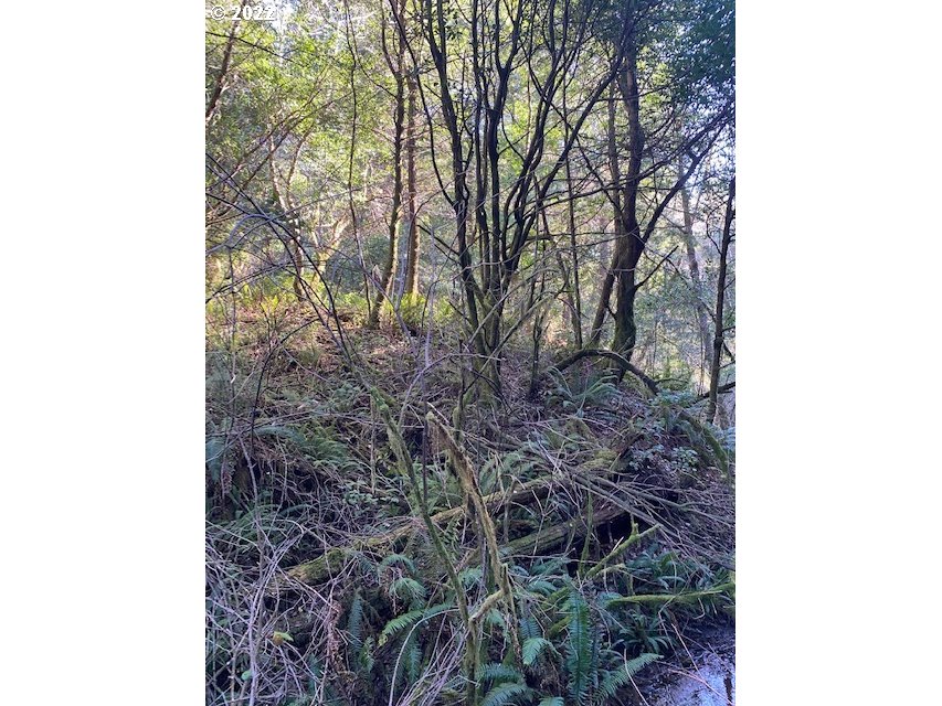 Park Road Port Orford, OR 97465 - Photo 10 of 11 a backyard of a house