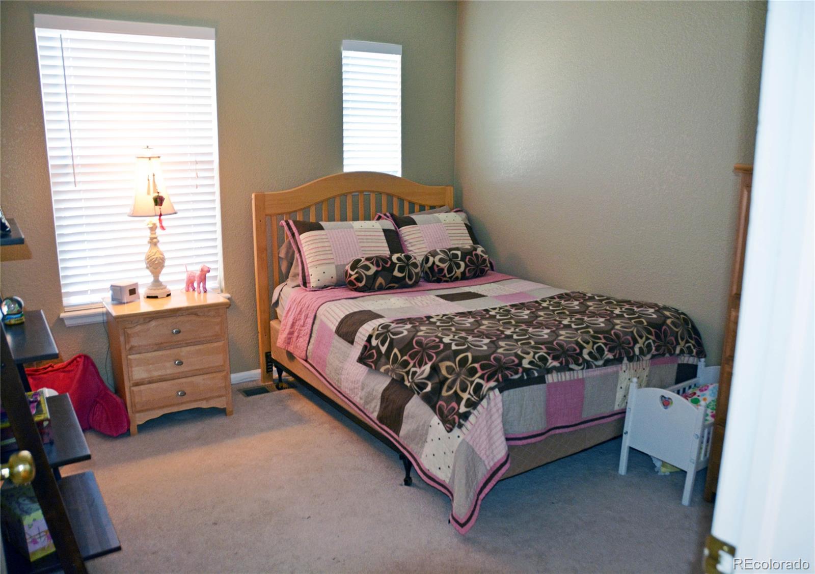 10715 Cherrington Street Highlands Ranch, CO 80126 - Photo 20 of 28