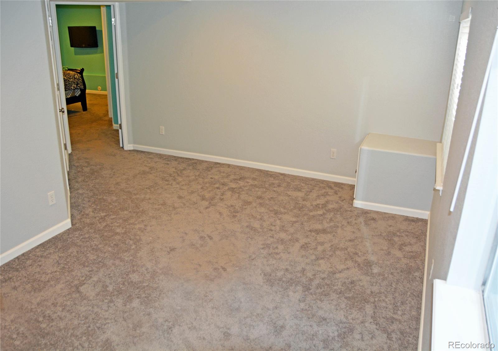 10715 Cherrington Street Highlands Ranch, CO 80126 - Photo 24 of 28