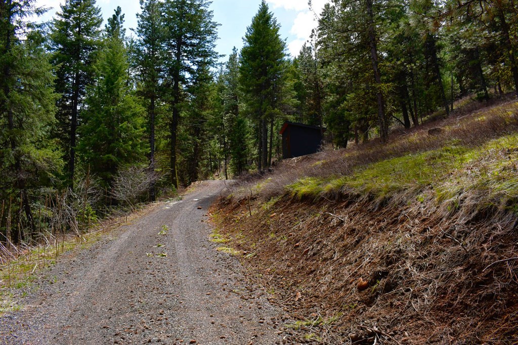 Lot 19 Little Salmon Road, Unit 19 New Meadows, ID 83654 - Photo 18 of 37