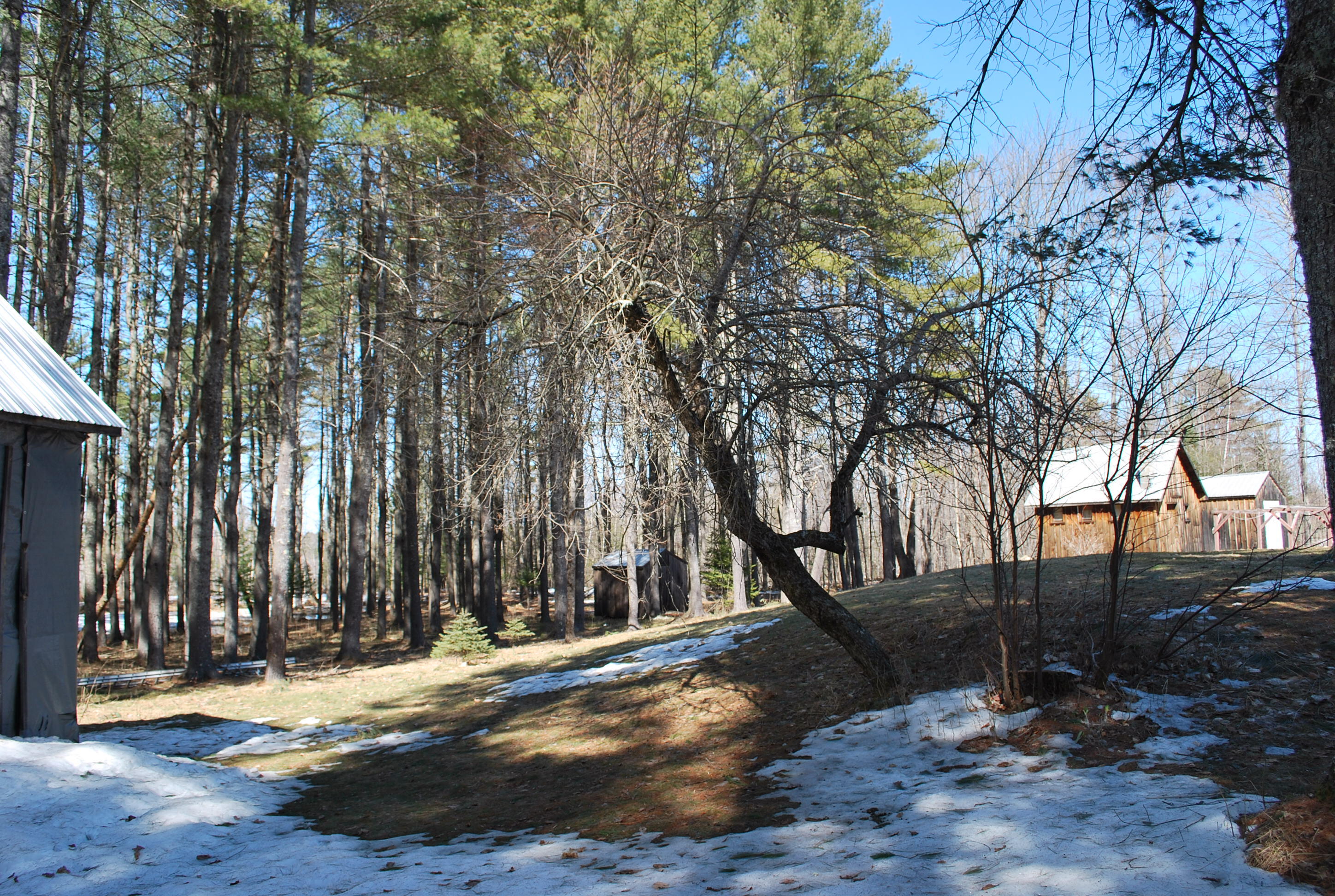 150 Athens Road Harmony, ME 04942 - Photo 21 of 50 150 Athens Road Harmony 023