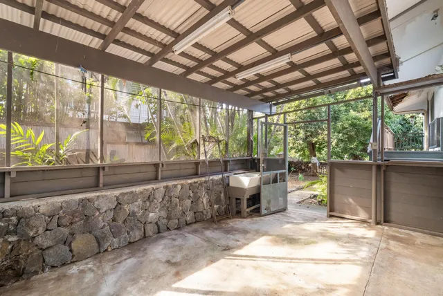 a view of a backyard