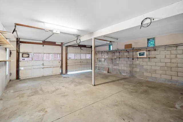 a view of a forest with a tree