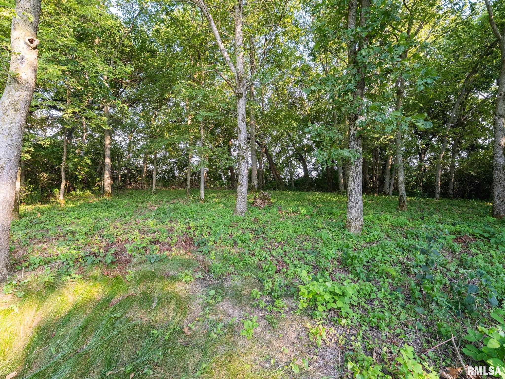 6670 Bass Road Manito, IL 61546 - Photo 13 of 50