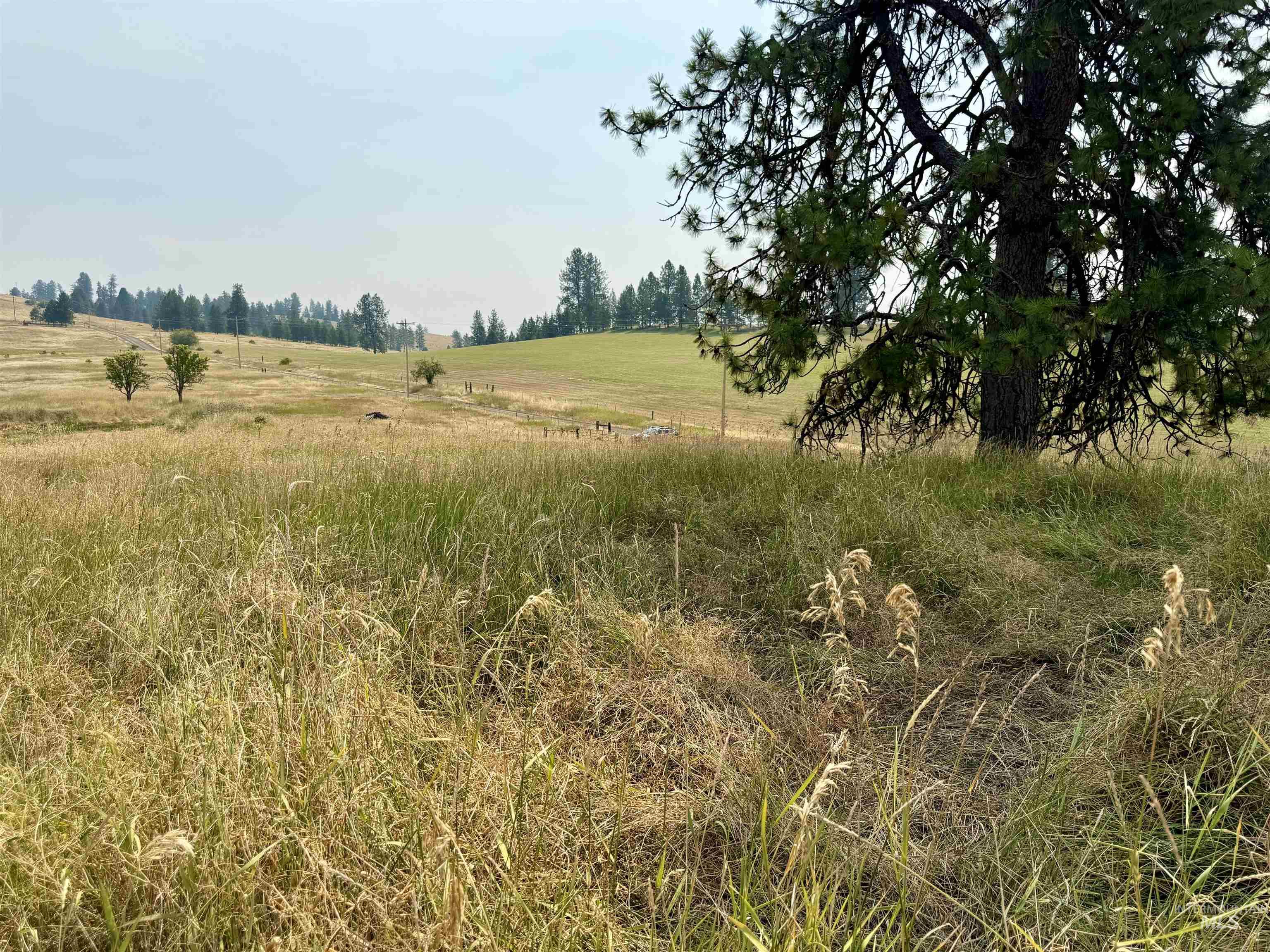 1003 Beaver Slide Road Kamiah, ID 83536 - Photo 19 of 19 Gallery Image 19