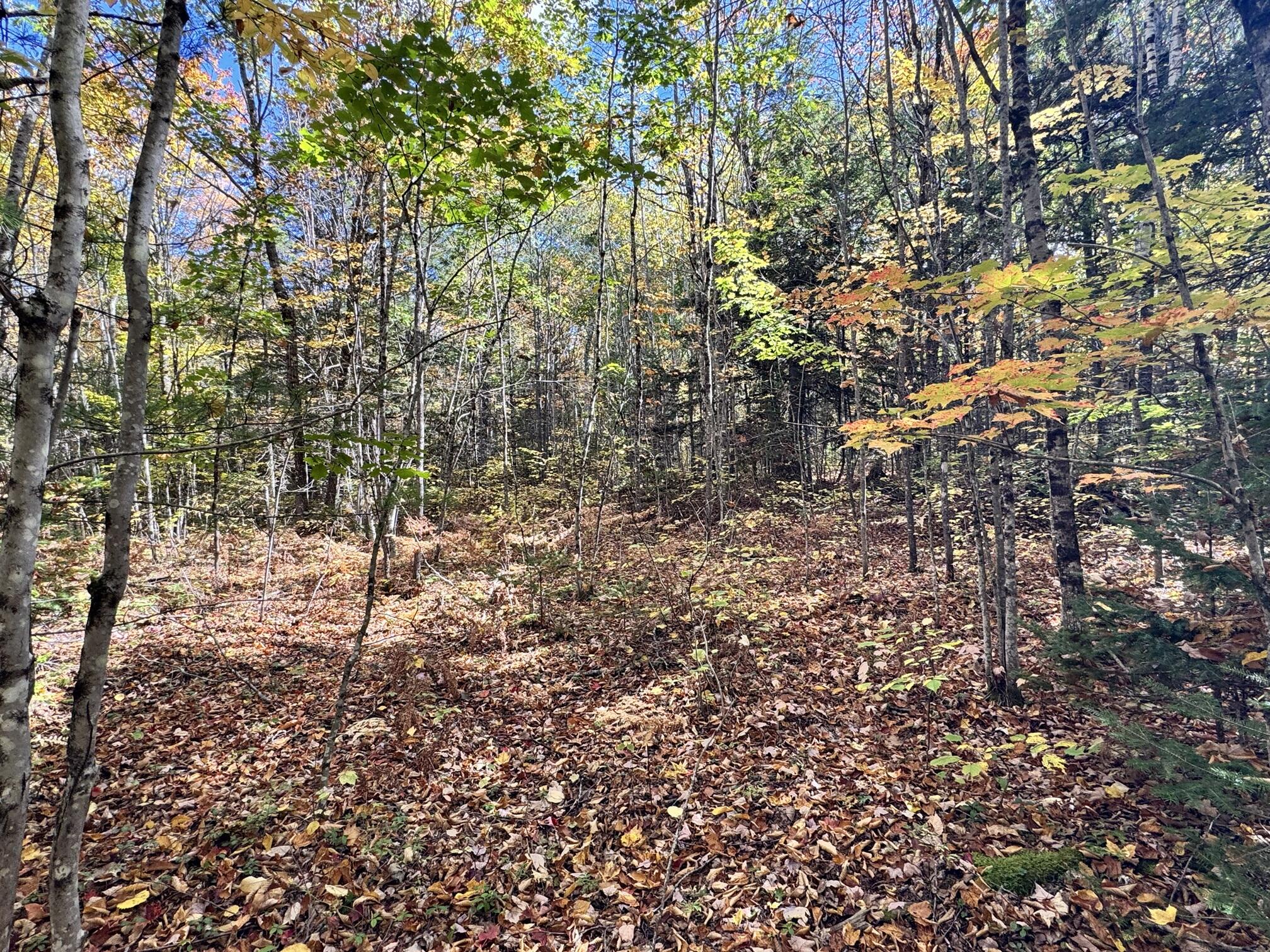 1 C Horseshoe Pond Road Chesterville, ME 04938 - Photo 10 of 13 3