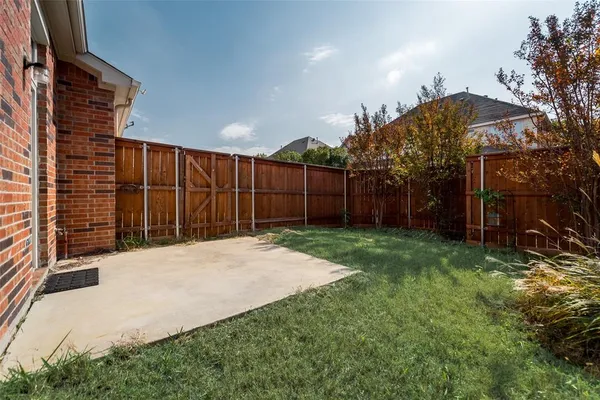 a view of backyard with potted plants and a large tree