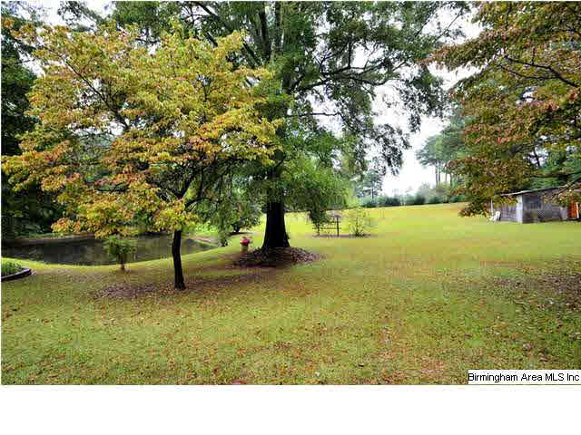124 Mooney Road Columbiana, AL 35051 - Photo 24 of 31