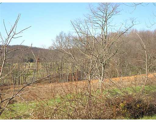 515 Cadogan Slate Lick Road Kittanning, PA 16201 - Photo 8 of 9 Other.