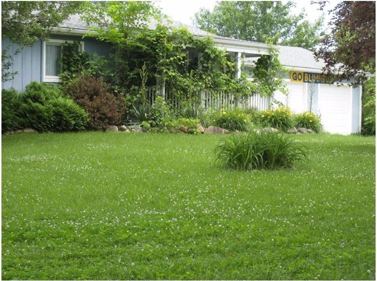 1381 Swarthout Road Pinckney, MI 48169 - Photo 1 of 1 Photo 1