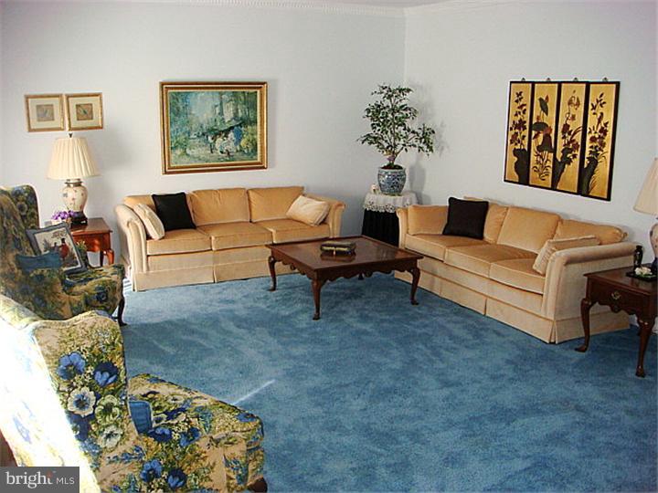 995 Pheasant Meadow Road Blue Bell, PA 19422 - Photo 3 of 12 Living Room