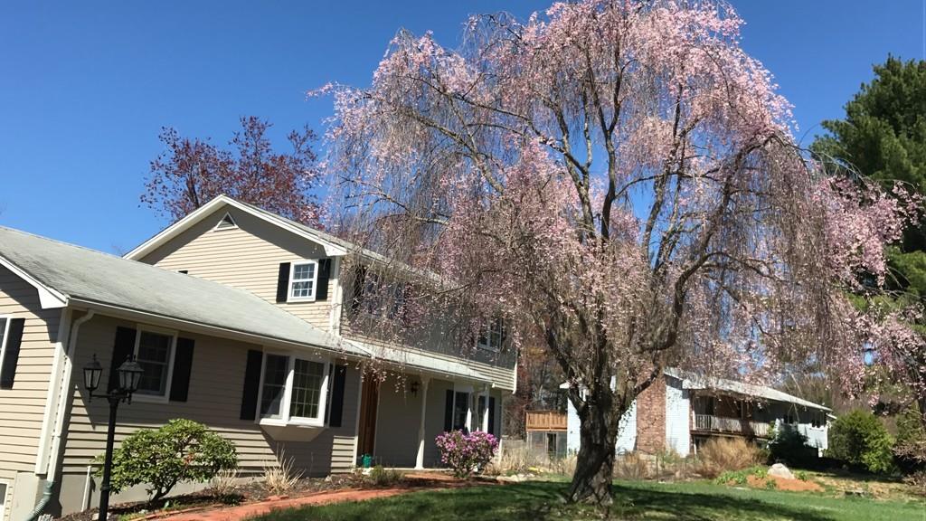 35 Flint Road Acton, MA 01720 - Photo 28 of 28 Gallery Image 28