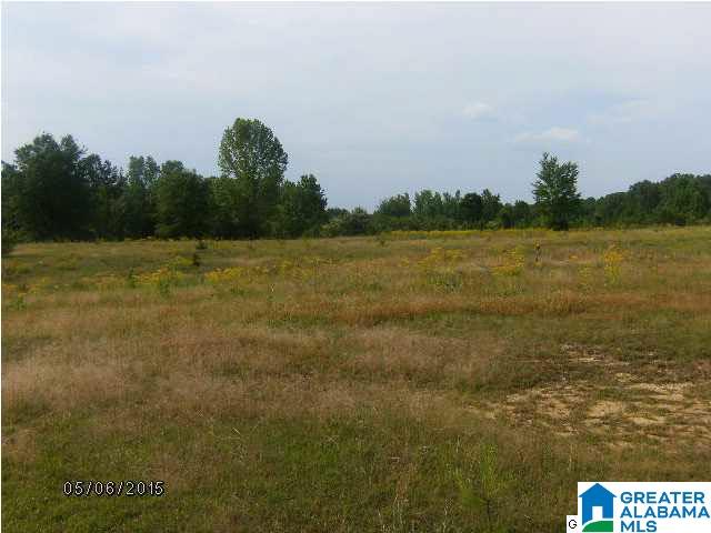 5239 Hollis Goodwin Road Dora, AL 35062 - Photo 1 of 2