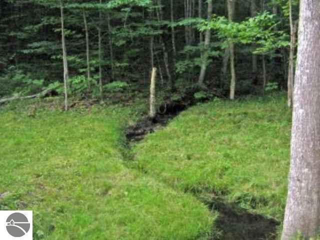 11260 Crawford Road Ellsworth, MI 49729 - Photo 11 of 11 1717710-10.JPG
