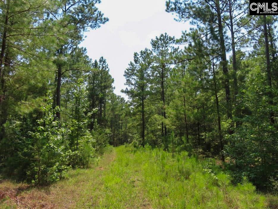 0 Landis Road Winnsboro, SC 29180 - Photo 37 of 83 Gallery Image 37