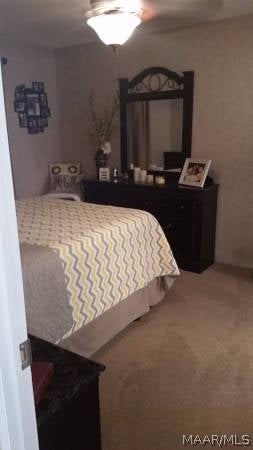 2446 Skipperville Road Ozark, AL 36360 - Photo 6 of 20 Gallery Image 6