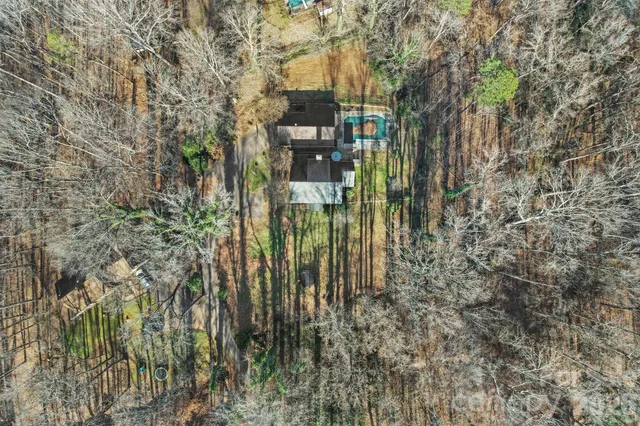 a close up of a plant in a garden