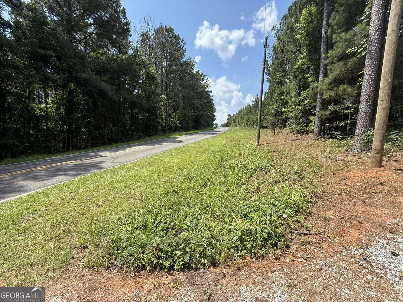 651 Branan Road Toomsboro, GA 31090 - Photo 16 of 53