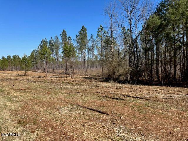 8 Hughes Lake Road Southeast Cleveland, TN 37323 - Photo 4 of 12