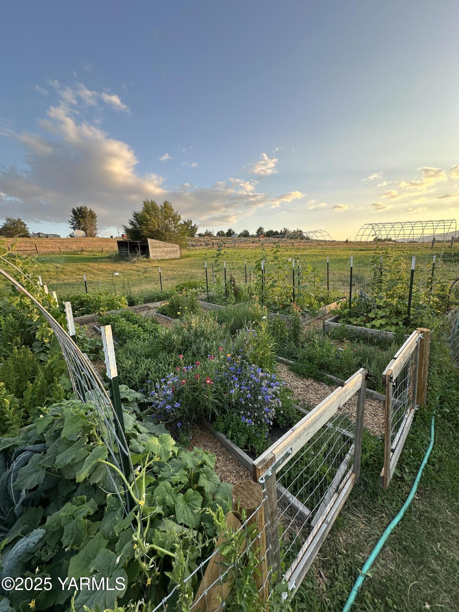 240 Knoll Road Yakima, WA 98908 - Photo 42 of 47 a view of a green field with sitting area