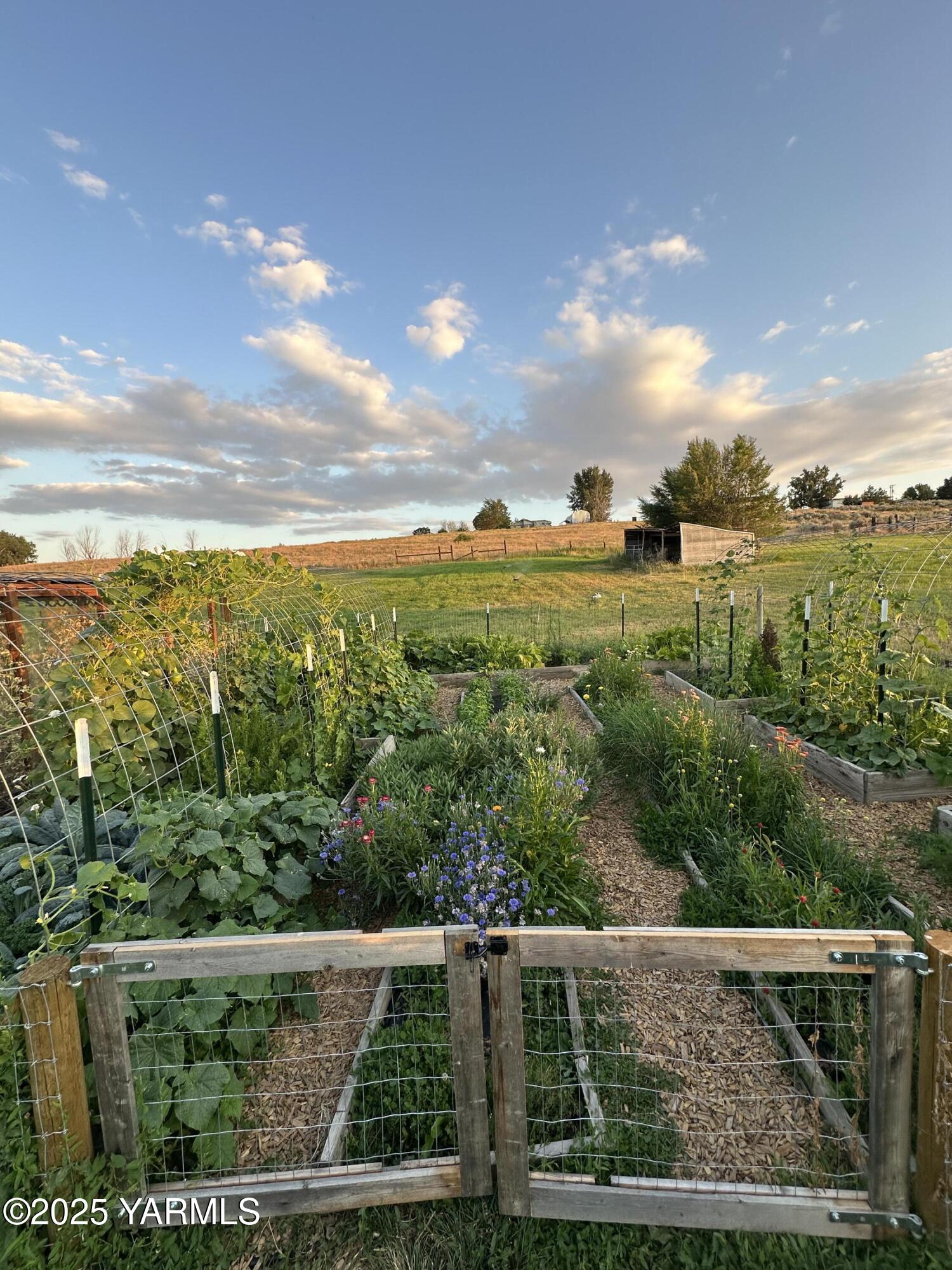 240 Knoll Road Yakima, WA 98908 - Photo 43 of 47 a view of an outdoor space with mountain view
